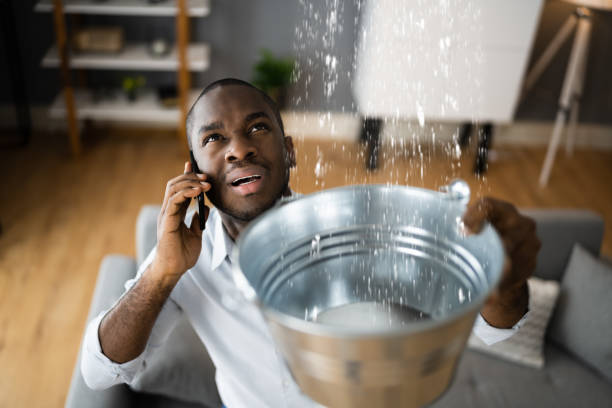 Best Flood damage cleanup  in La Vista, NE