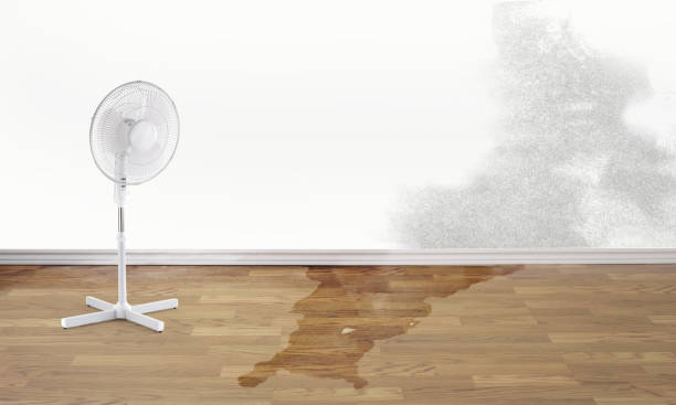 Best 24-hour water damage restoration  in La Vista, NE