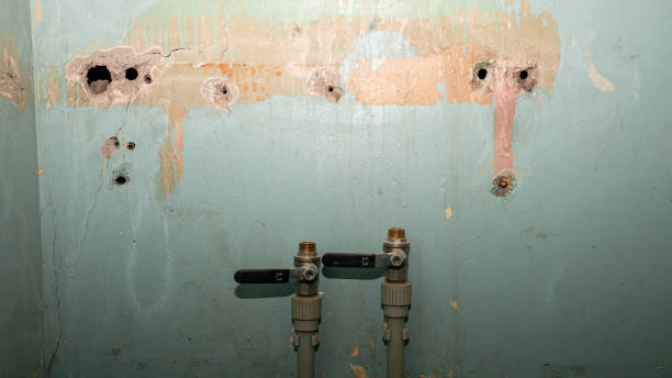 Best Professional water damage repair  in La Vista, NE