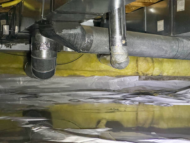 Best Fire Damage Restoration  in La Vista, NE