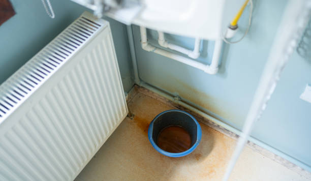 Best Flood restoration services  in La Vista, NE