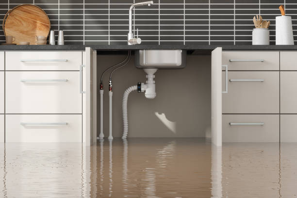 Best Basement water damage restoration  in La Vista, NE