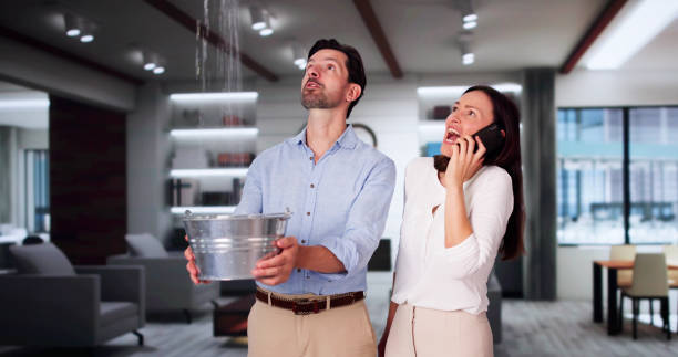 Best 24-hour water damage restoration  in La Vista, NE